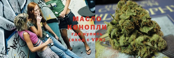 хмурый Алзамай