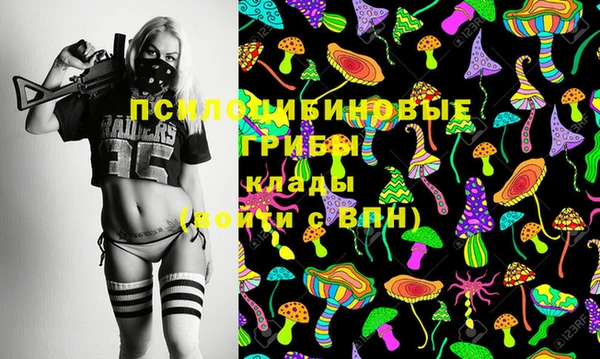 хмурый Алзамай