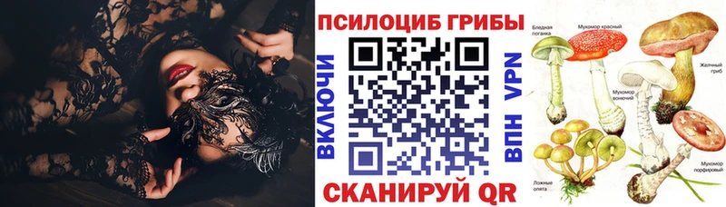 где купить наркоту  Фёдоровский  Псилоцибиновые грибы Cubensis 